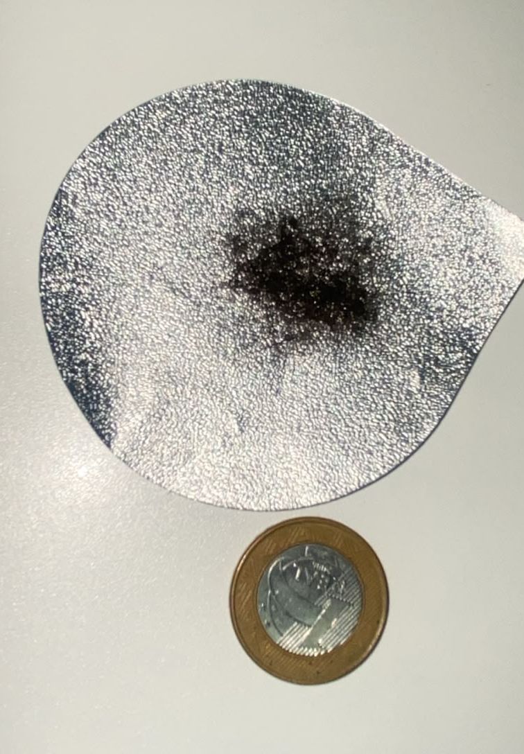 Amostra de cabelo coletada ao lado de uma moeda de um real, mostrando o tamanho reduzido